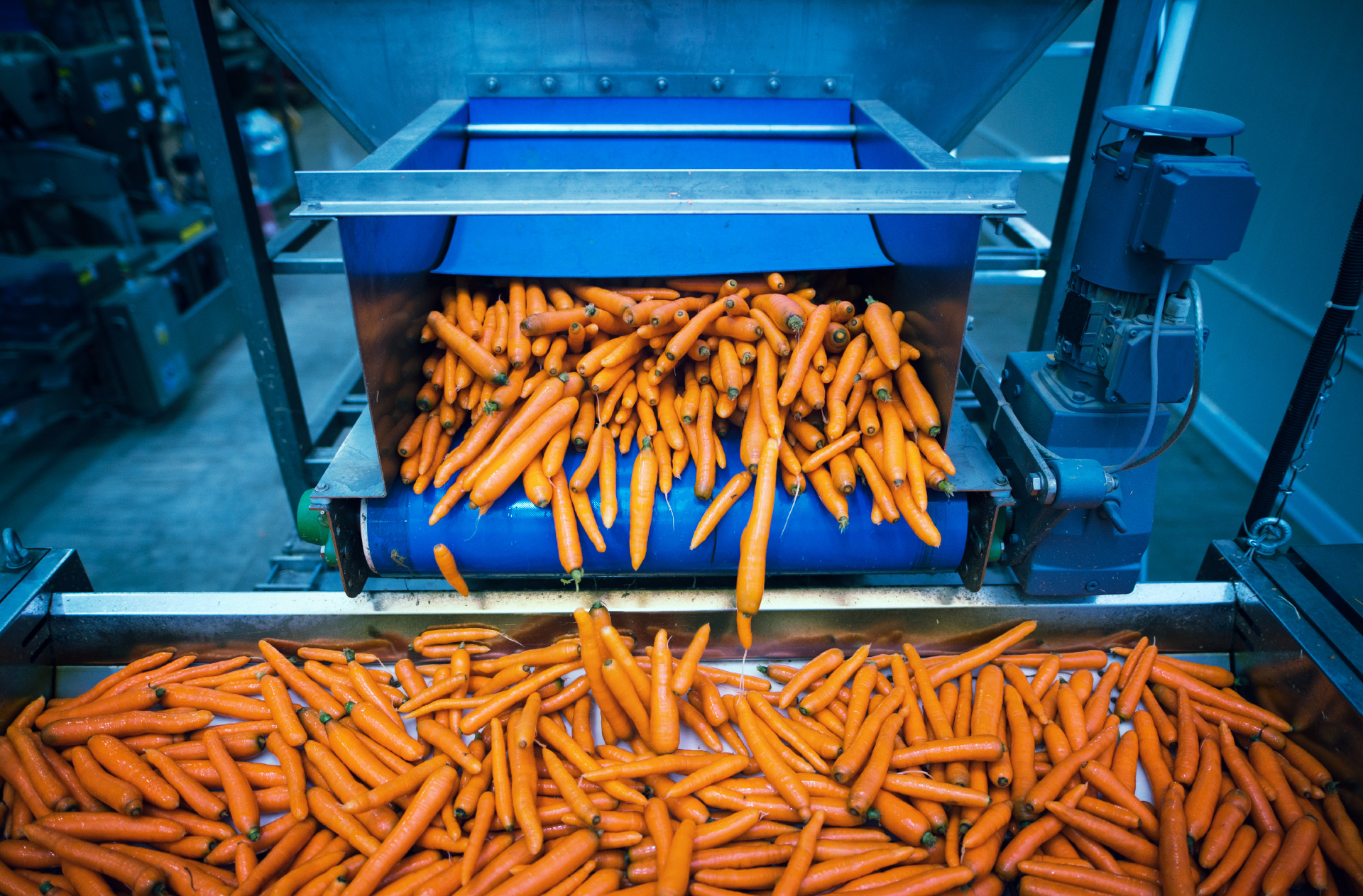 Lumin&aacute;ria Industrial Ind&uacute;stria Aliment&iacute;cia