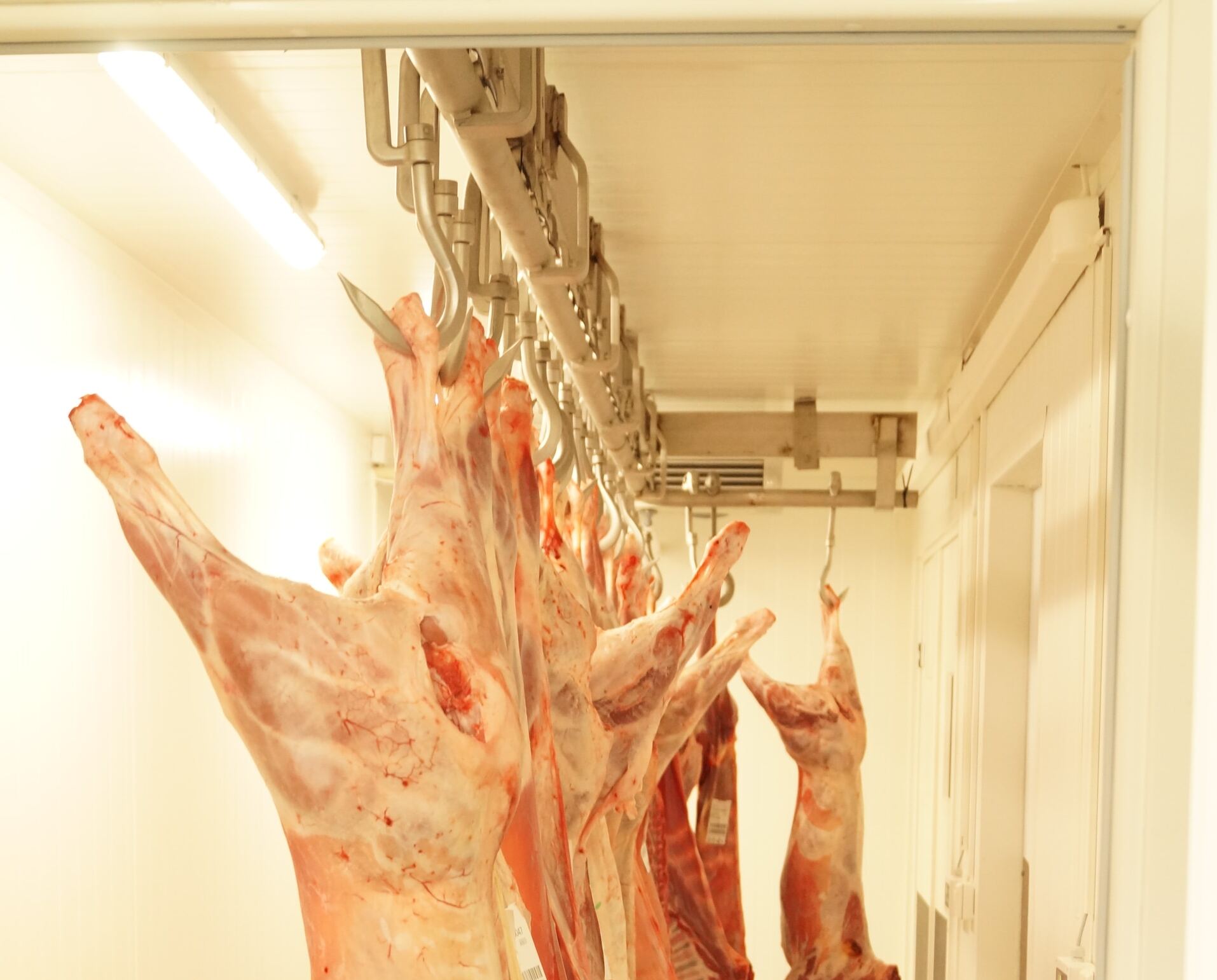 Qual a import&acirc;ncia da NR 36?